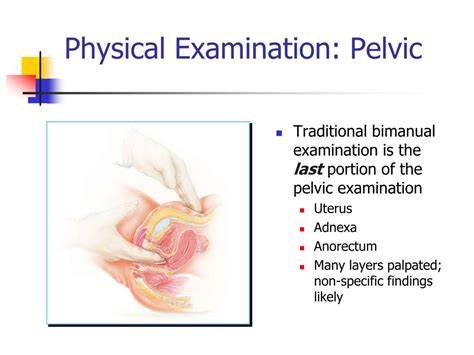 Ppt Chronic Pelvic Pain In Gynecological Practice Powerpoint Presentation Id