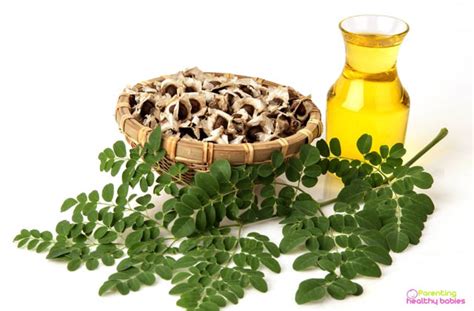 11 Health Benefits Of Moringa Seed Oil For Kids And Nursing Moms