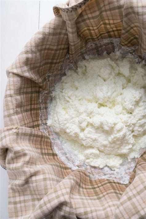 Homemade Ricotta In 3 Easy Steps Smart Nutrition With Jessica Penner