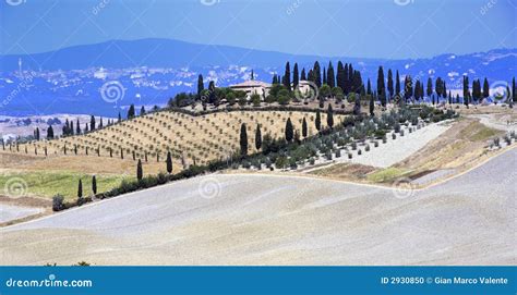 Sienese Cretes Stock Photo Image Of Soil Italy Landscape 2930850