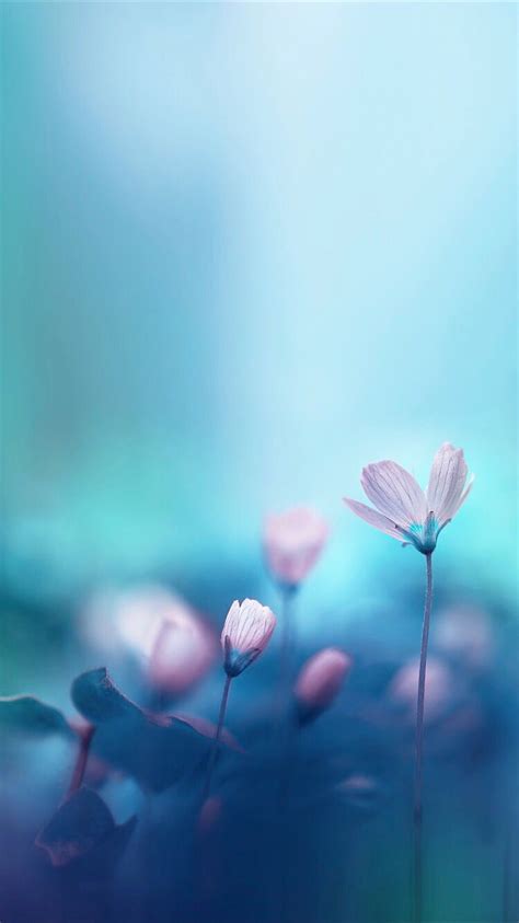 Abstract flowers wallpaper for your iPhone XR from Everpix ... We have a massive amount of hd images that will make your computer or.