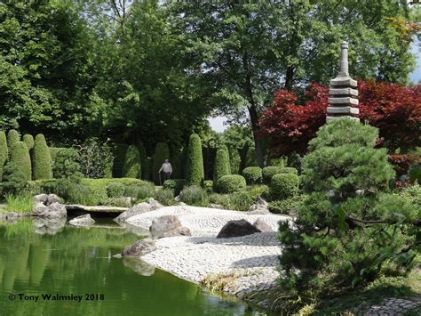 Japanese garden (en) taman di jerman (id); Japanischer Garten Freizeitpark Rheinaue Bonn | A pleasant ...