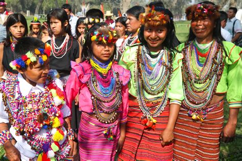 Tradicion Y Cultura Andino Amazonica 2017