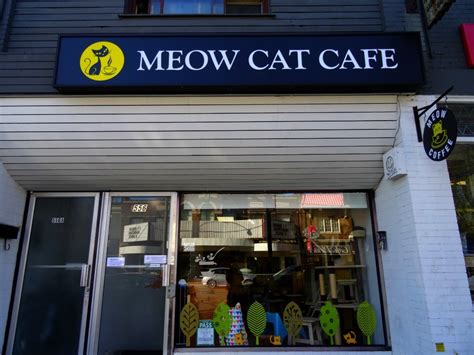 Meow Cat Cafe Closed Inspirasi Terbaru Untuk Anda