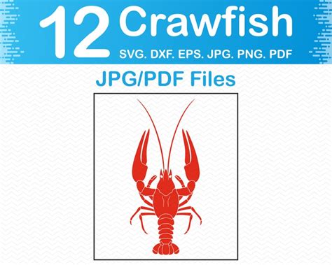 Crawfish Svg Crawfish Png Crawfish Clipart Crawfish Etsy