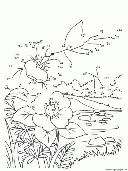 plantas-dibujar-uniendo-puntos-numeros-006 - plantas-dibujar-uniendo