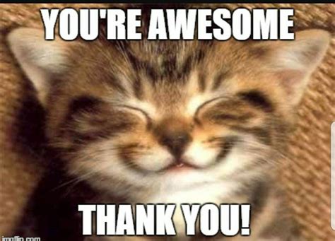 Youre Awesome Funny Thank You Quotes Funny Thank You Thank You Memes