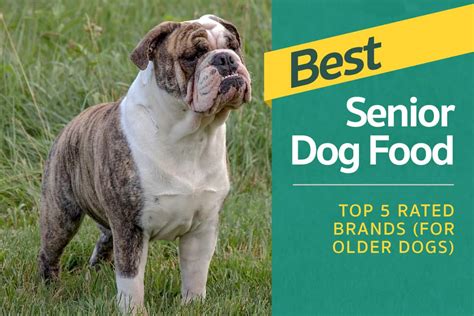 Top 5 picks for best dog food for puppies. Best Senior Dog Food - Top 5 Rated Brands (For Older Dogs)