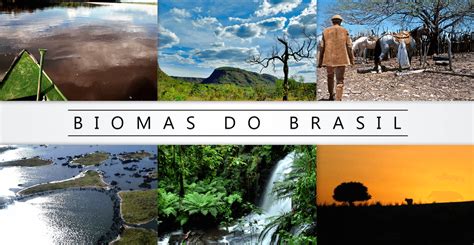 Capa De Trabalho Biomas Brasileiros