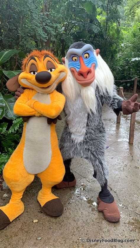 In particular, the company opened more than. Hang Out With Timon and Rafiki Now Meeting Together in ...
