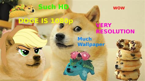 Much Wallpaper Very Doge By Dubnation42 On Deviantart