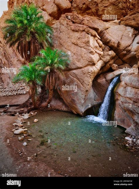 A Small Waterfall And Palms In The Chebika Oasis In Tunisia Africa