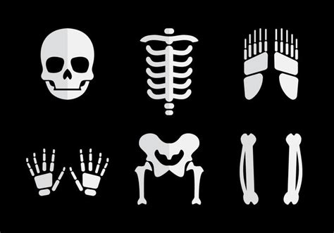Huesos Humanos Conjunto De Iconos De Estilo De Dibujos Animados Imagen