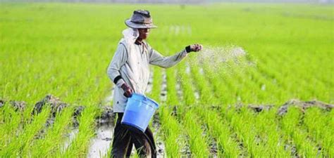 Jenis-Jenis Usaha dalam Bidang Ekonomi