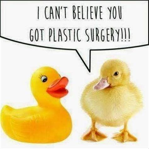 Duck Memes That Will Make You Quack All Day Lol Funny Meaning