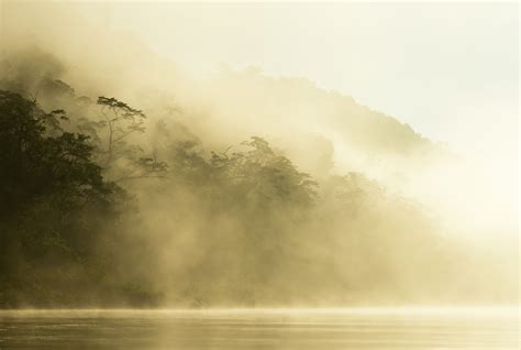 Mexico’s first black-and-white hawk-eagle nest is a treasure trove for