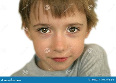 Portrait Of Boy With Brown Eyes Stock Image Image Of Adorable Cute