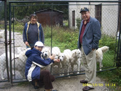 Find a great pennsylvania dog breeder at looking for a dog breeder in pennsylvania? All List Of Different Dogs Breeds: How To Be A Responsible ...