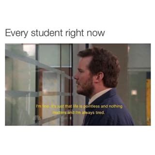 The struggle is so real. Memes - Ap Us Government and Politics