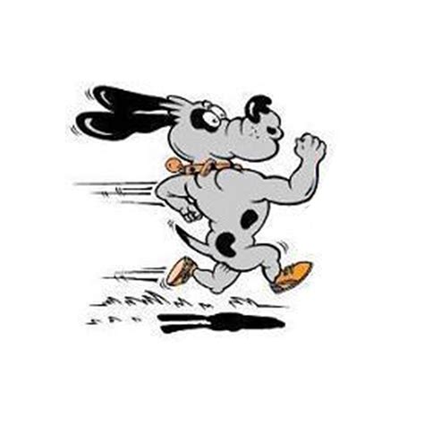 Speeddogs