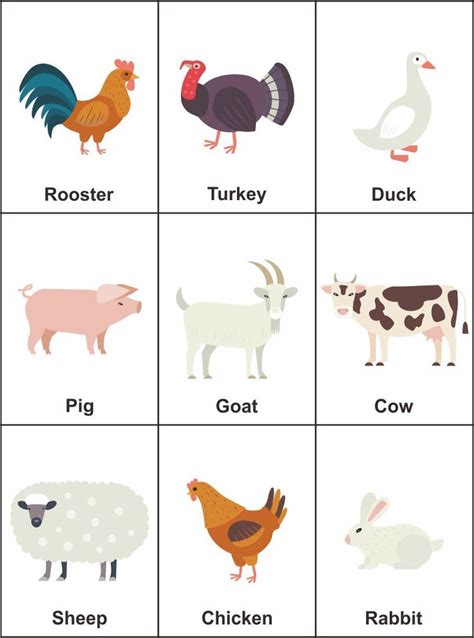 Preschool+Farm+Animal+Flash+Cards in 2020 | Animal flashcards, Alphabet