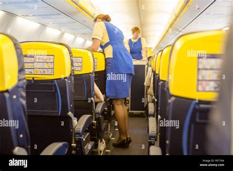 Ryanairflightin Flightcabinstewardairattendantservicecrew Stock