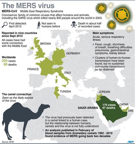 A few months later, in late 2012, a video appeared showing men collecting camel urine in buckets and giving it to people who, in the narrator's. Is the deadly MERS virus related to the drinking of camel ...