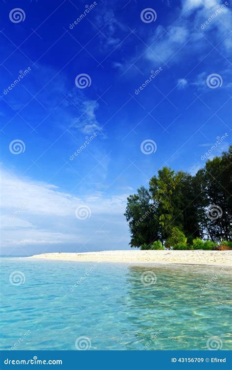Tropical Beach Blue Sky And Clear Water Stock Image Image Of Relax