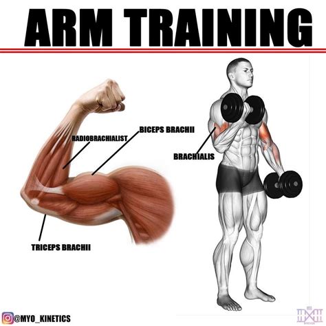 The Best Bulging Bigger Biceps Workout To Grow Your Arms ...