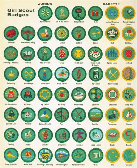 Girl Scout Badges Wowi Believe I Had All Of These Badges When I Was