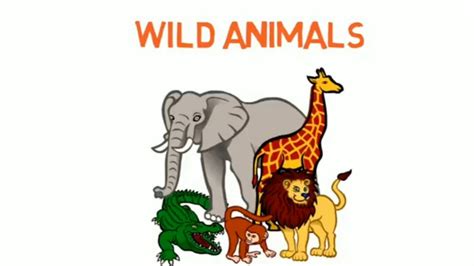 Wild Animals Names In Hindi And English Youtube