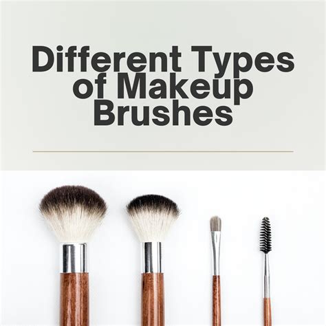 Different Types Of Makeup Brushes Pelcas