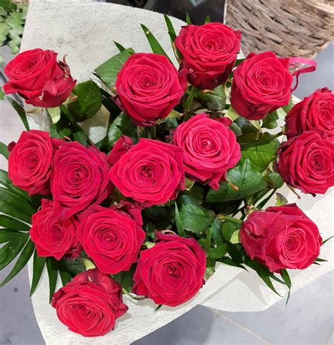 Roses Rouges Champ Fleurs