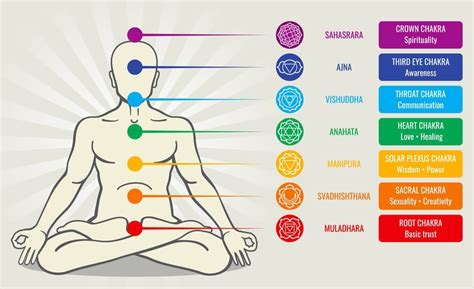 The Seven Major Chakras Of The Human Body
