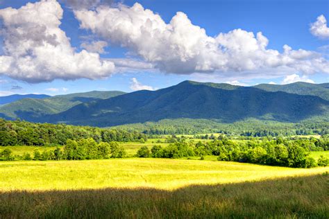 5 Reasons You Will Love Spring In The Smoky Mountains