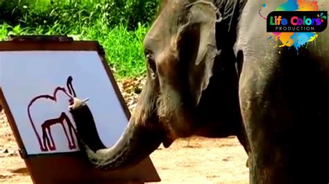 Amazing Beautiful Paint By Elephant Youtube