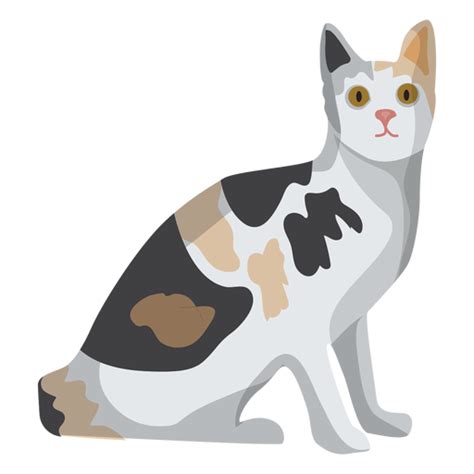 Ilustración De Gato Europeo De Pelo Corto Descargar Pngsvg Transparente