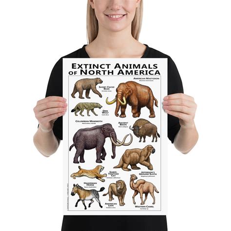 Extinct Mammals Of North America Poster Print Etsy Ex