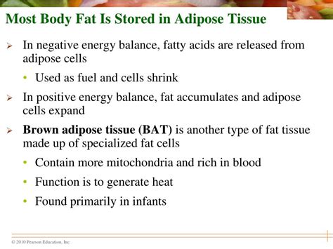 Ppt Chapter 14 Energy Balance And Body Composition Powerpoint
