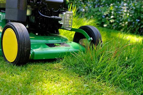 Seven Lawn Care Tips Lawn Maintenance Bbc Gardeners World Magazine