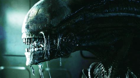 Welcome to the official alien facebook page. The Iconic Film 'Alien' Came Out 40 Years Ago. A Scientist ...
