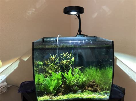 Fluval spec, free shipping & low prices, shop now! Build Thread - Fluval Flex 15g build Thread | REEF2REEF ...