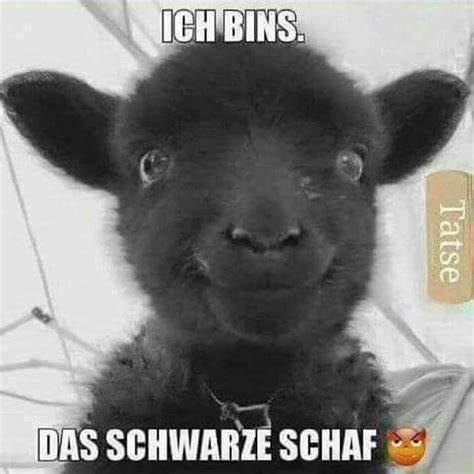 Pin By Julie On Lustige Sprüche Black Sheep Black Sheep Of The