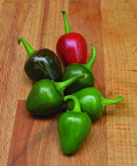 Ginger green and red peppers, carrot oil bao yuzhi steamed fish soy sauce 1 material: Chili Peppers: The WHATs, WHYs, and HOWs!