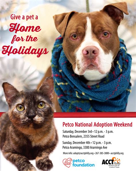 How to adopt a cat, and what to know about bringing one home. December Adoption Events & Promotions | ACCT Philly