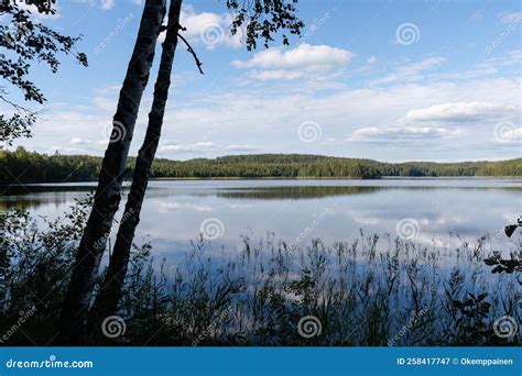 Finnish Lake View, Landscape With Silhouette Of Tree Trunk And Grasses