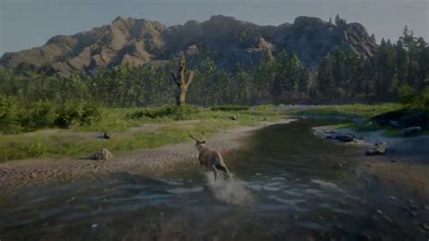 It was believed that living things possessed a certain vital force needed to make organic. RDR2 Vitalism Studies - Buck (part 1) - YouTube