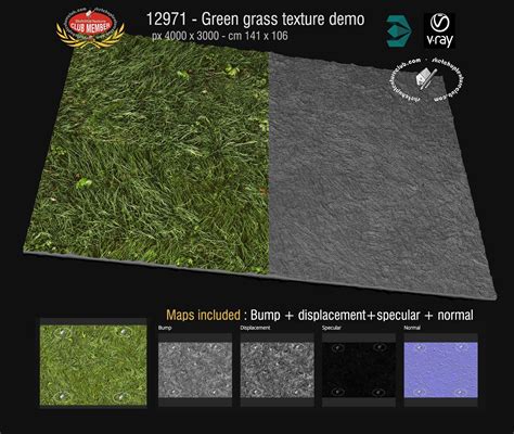 Green Grass Texture Seamless Maps Grass Texture Seamless Grass