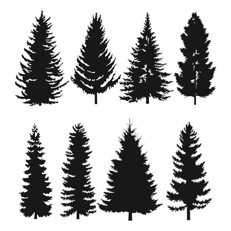 Set Of Black Silhouettes Trees 12027178 Vector Art At Vecteezy