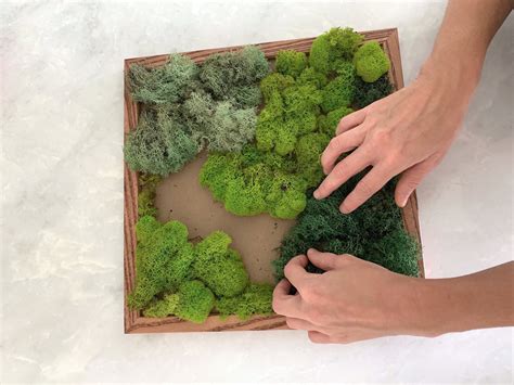 Diy Moss Wall Kit Make Your Own Moss Art Preserved Moss Etsy